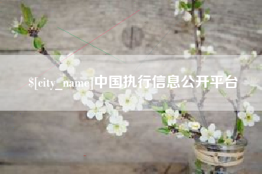 明港中国执行信息公开平台