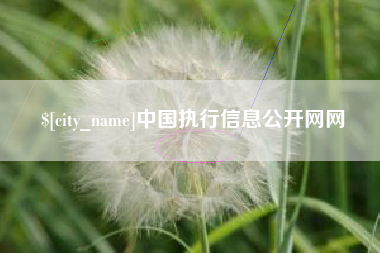 明港中国执行信息公开网网