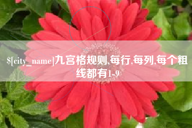 明港九宫格规则,每行,每列,每个粗线都有1-9