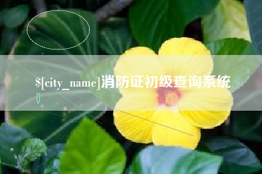 明港消防证初级查询系统