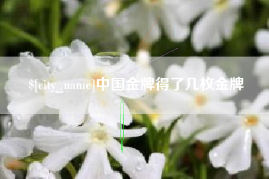 明港中国金牌得了几枚金牌