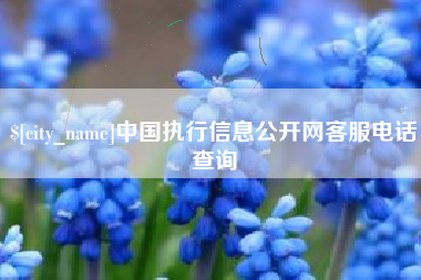 明港中国执行信息公开网客服电话查询