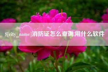明港消防证怎么查询,用什么软件