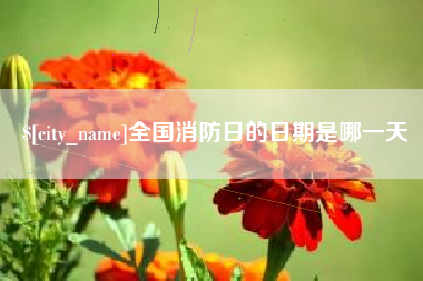 明港全国消防日的日期是哪一天