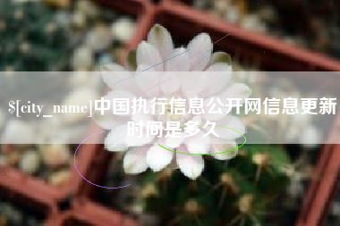 明港中国执行信息公开网信息更新时间是多久