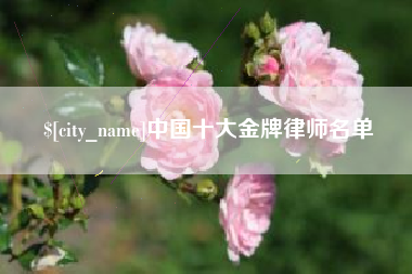 明港中国十大金牌律师名单