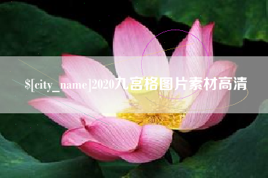 明港2020九宫格图片素材高清