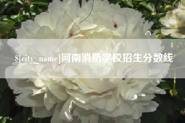 明港河南消防学校招生分数线