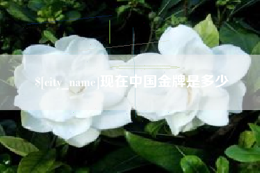 明港现在中国金牌是多少