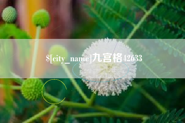 明港九宫格42633