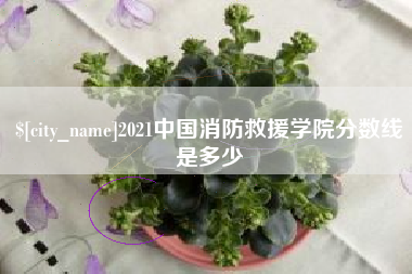 明港2021中国消防救援学院分数线是多少
