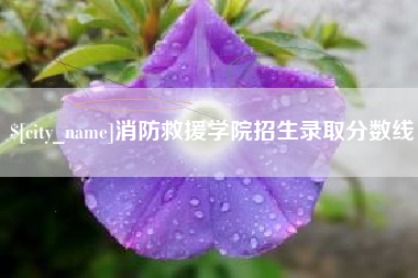 明港消防救援学院招生录取分数线