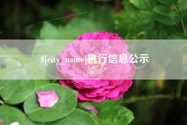 明港执行信息公示
