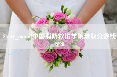 明港中国消防救援学院录取分数线2020