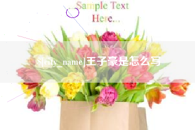 明港王子豪是怎么写