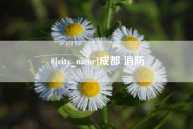 明港成都 消防