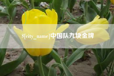 明港中国队九块金牌