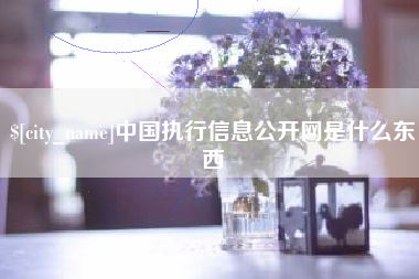 明港中国执行信息公开网是什么东西