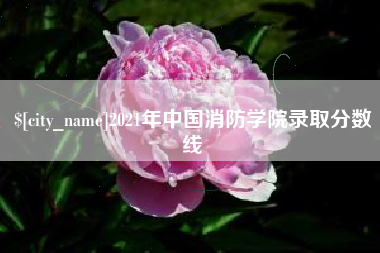 明港2021年中国消防学院录取分数线