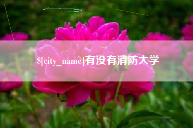 明港有没有消防大学