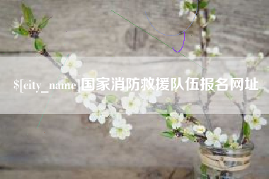 明港国家消防救援队伍报名网址