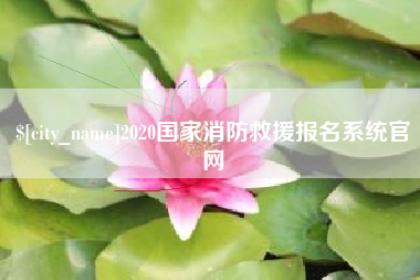 明港2020国家消防救援报名系统官网
