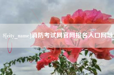明港消防考试网官网报名入口网址
