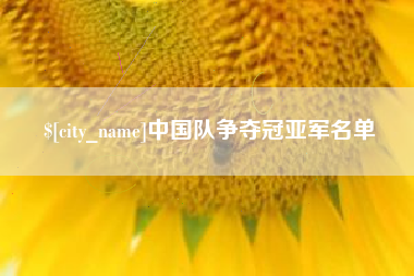 明港中国队争夺冠亚军名单