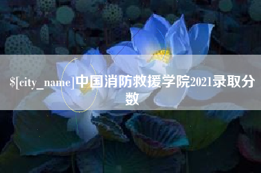 明港中国消防救援学院2021录取分数