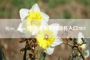 明港中国消防官网报名入口2024