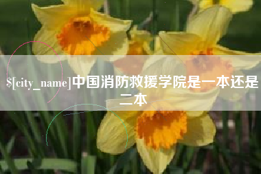 明港中国消防救援学院是一本还是二本
