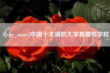 明港中国十大消防大学有哪些学校