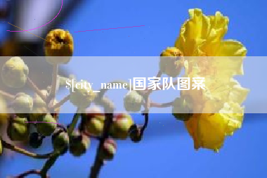 明港国家队图案