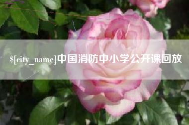 明港中国消防中小学公开课回放