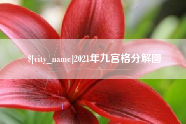 明港2021年九宫格分解图