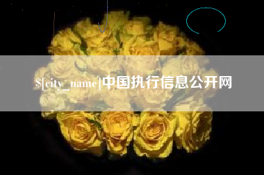 明港中国执行信息公开网
