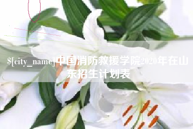 明港中国消防救援学院2020年在山东招生计划表