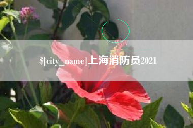 明港上海消防员2021