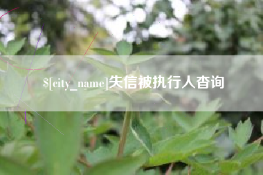 明港失信被执行人杳询