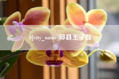 明港邱县王子磊