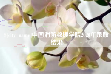 明港中国消防救援学院2020年录取结果
