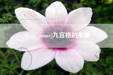 明港九宫格的来源
