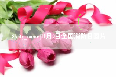 明港11月9日全国消防日图片