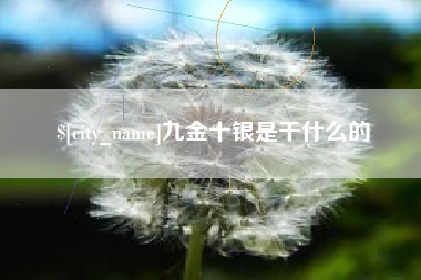 明港九金十银是干什么的