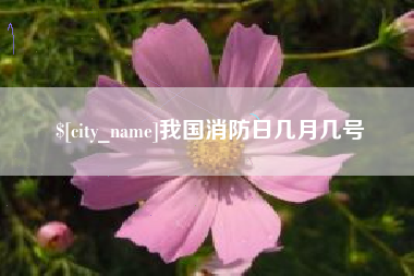 明港我国消防日几月几号