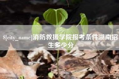 明港消防救援学院报考条件湖南招生多少分