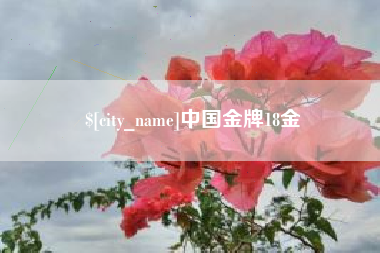 明港中国金牌18金