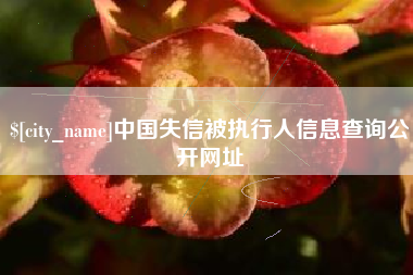 明港中国失信被执行人信息查询公开网址