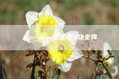 明港奥运会39块金牌
