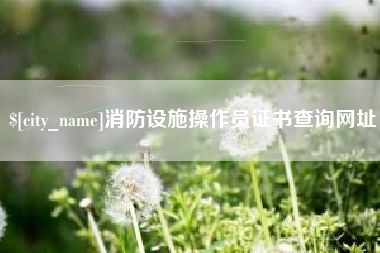 明港消防设施操作员证书查询网址